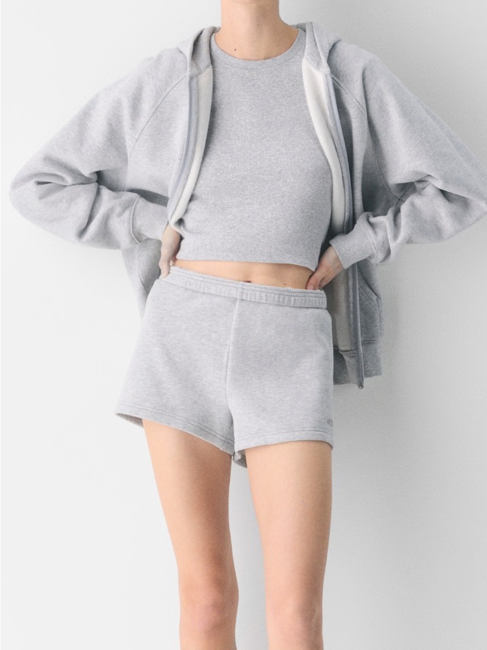Aritzia Cozy Sweatfleece Perfect Hi-Rise Mini Short- Heather Chrome